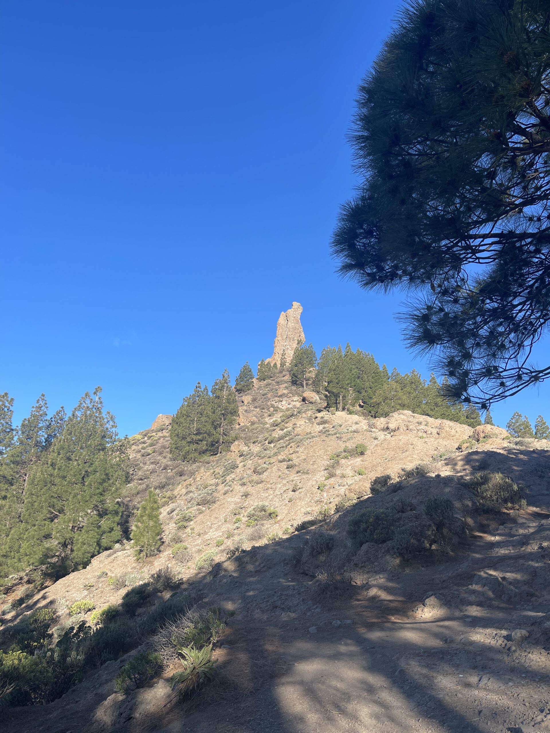 lungo il sentiero verso il Roque Nublo