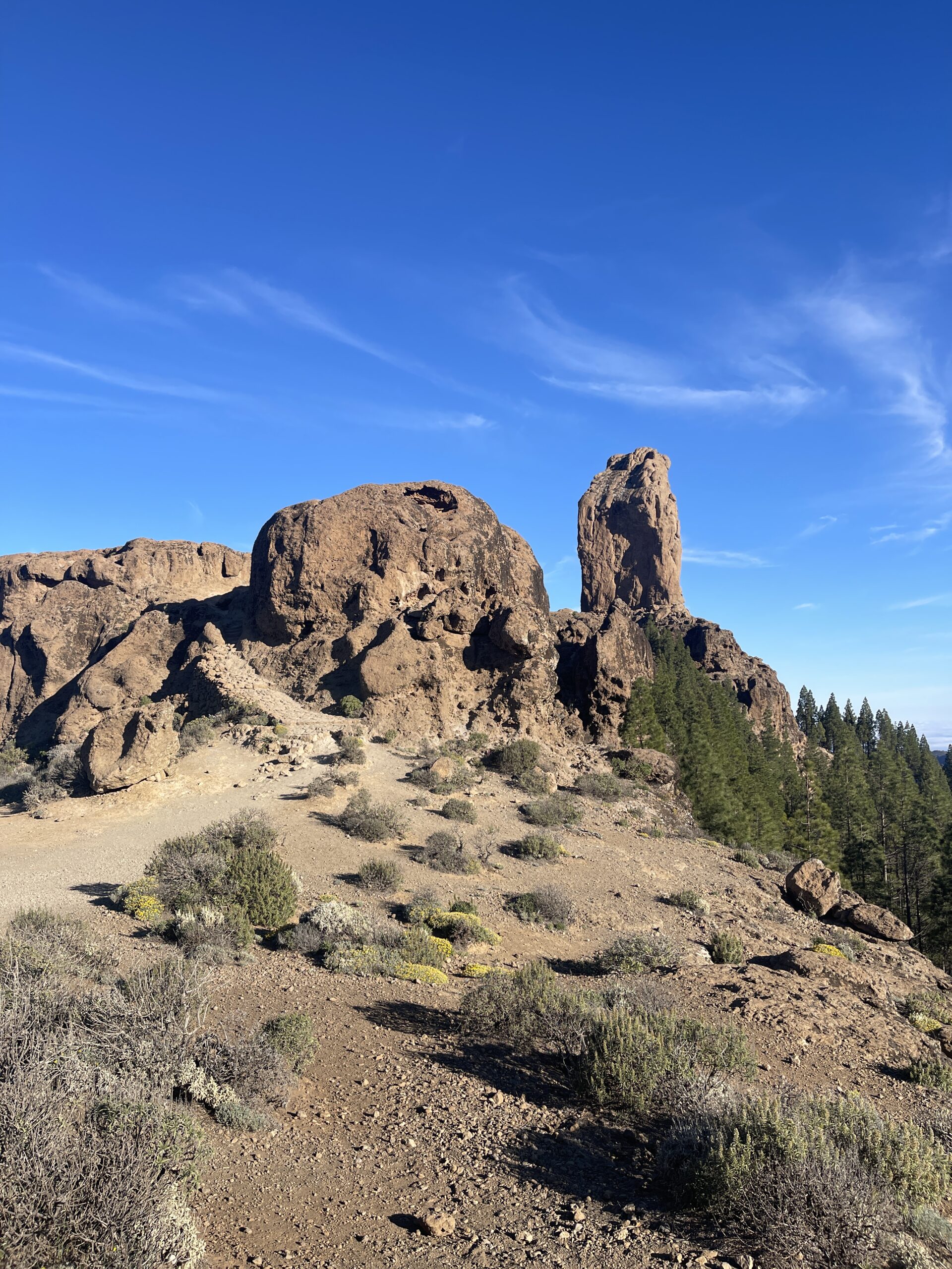 sentiero verso il Roque Nublo