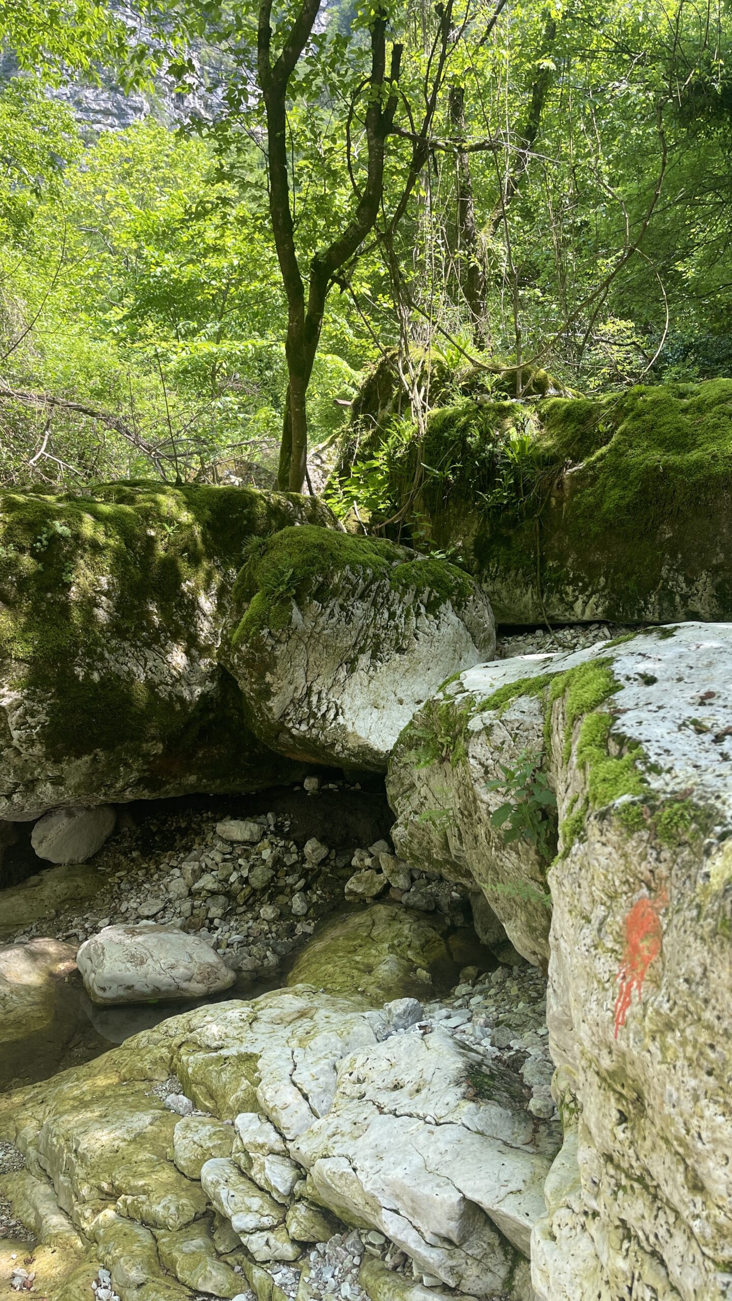 Vecchi segnavia nel torrente Ass