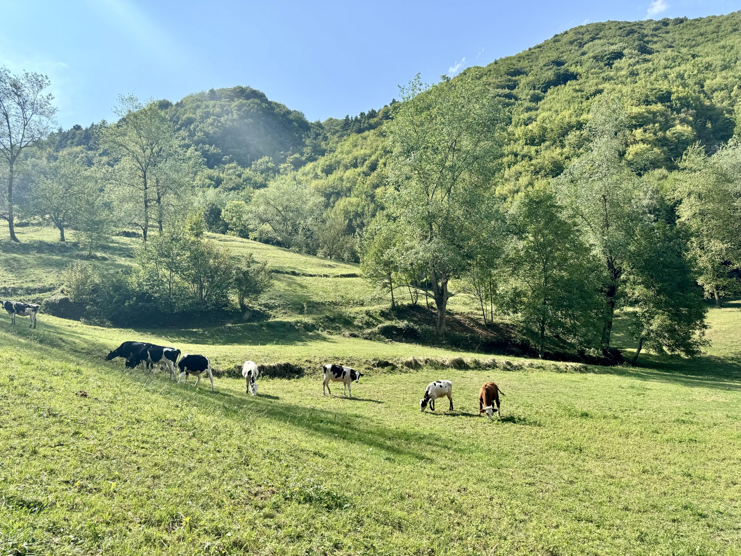 Ambiente lungo la Via dell'Acqua