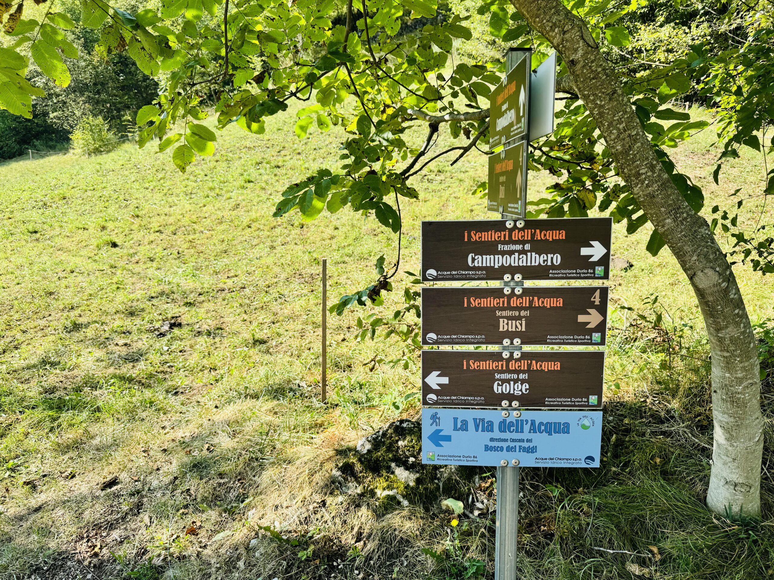 Verso il Bosco di Faggi