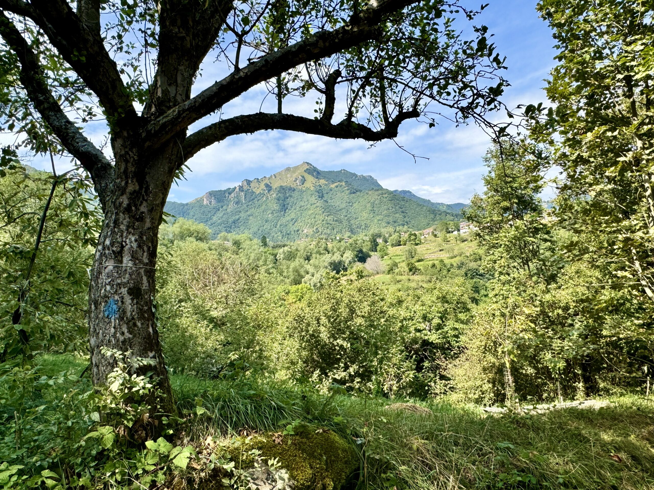 Vista sul Monte Telegrafo