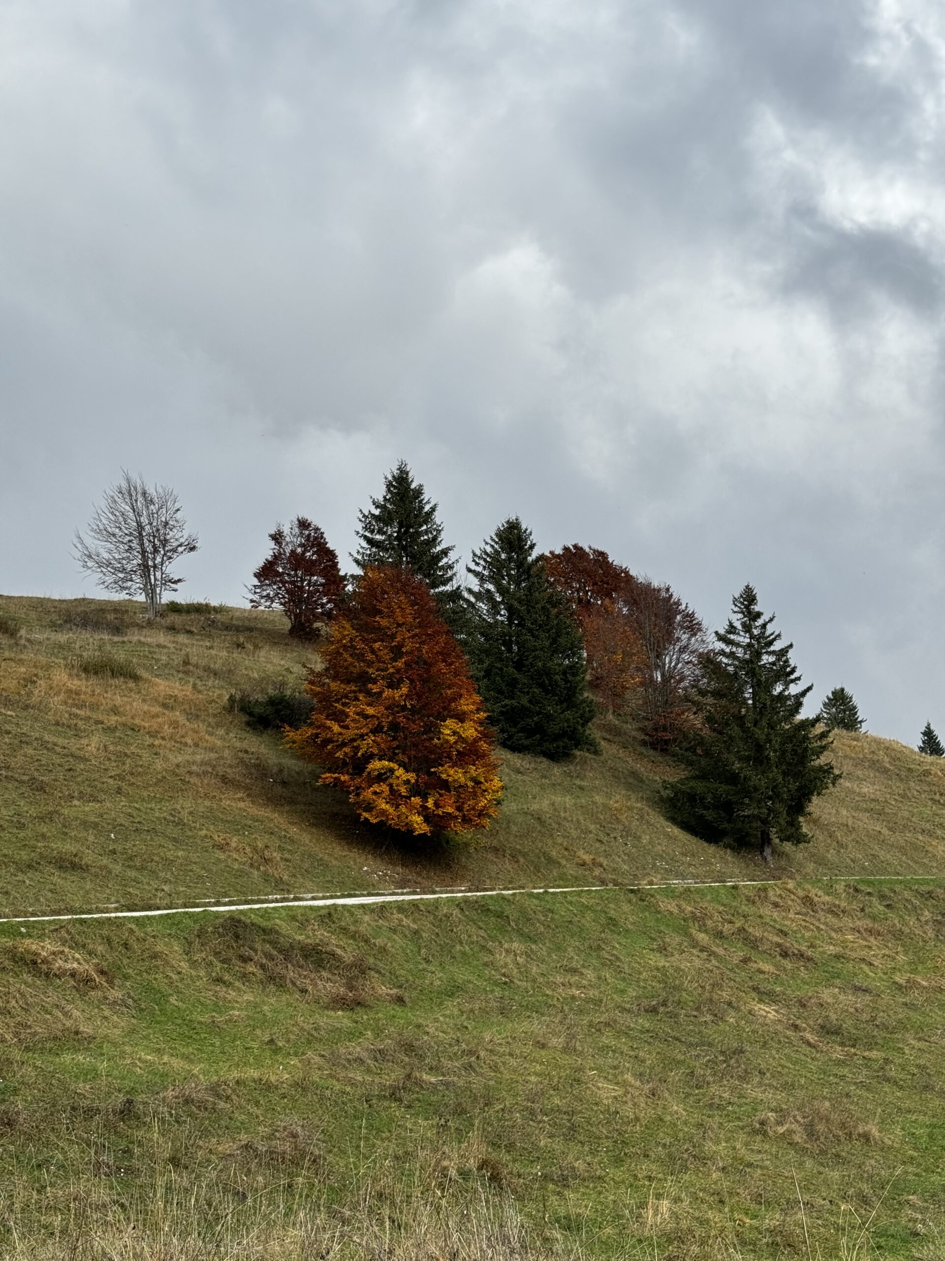 Lungo la strada asfaltata verso il Forte Verle