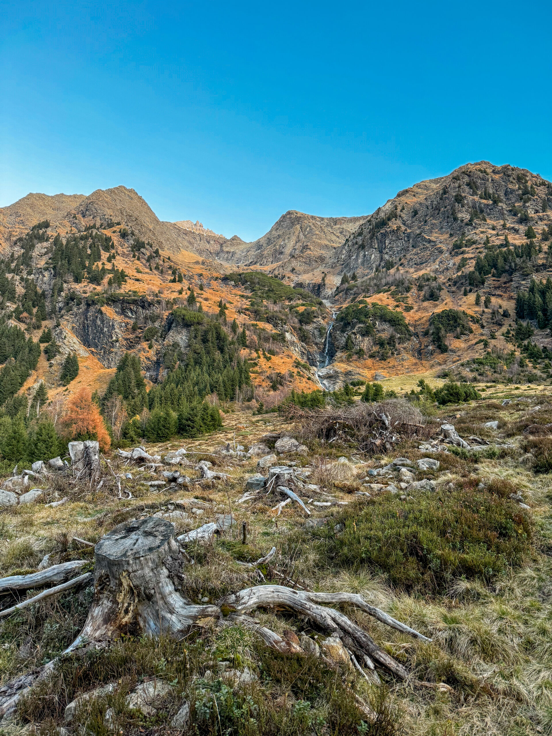 Radura dopo il bosco e la cascata